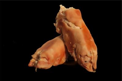 Pied de porc cuit à 4.95€/pcs