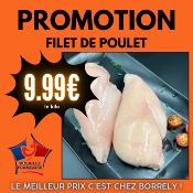 Foire  la volaille : Filet de poulet 1 kg
