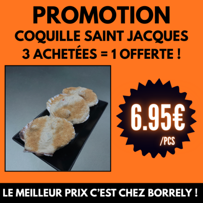 PROMO : Coquille de Saint-Jacques à 6.95€ - 3+1