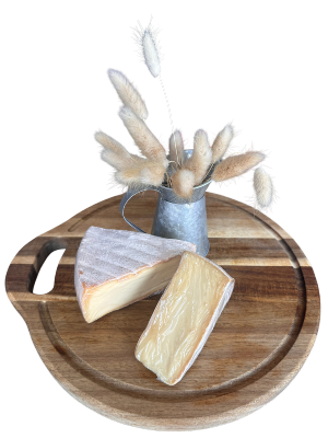 St Nectaire à 24.95€ /kg
