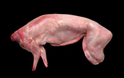 Lapin 1.8kg à 11.95€ /kg